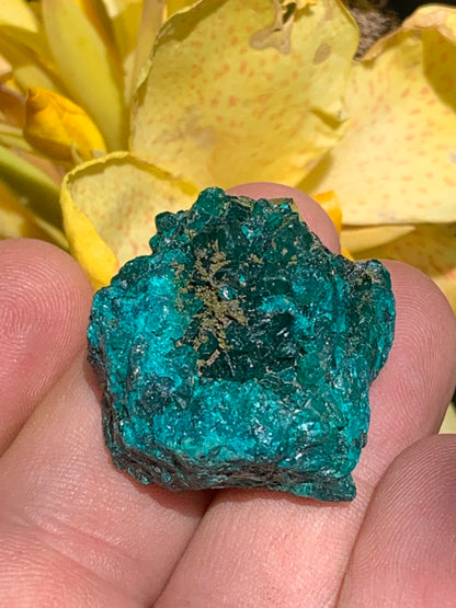 Dioptase, spécimen cristalisé de 32mm x 30 x 24 - 31,3 grammes ! Rare et puissante en minéralogie et lithothérapie !