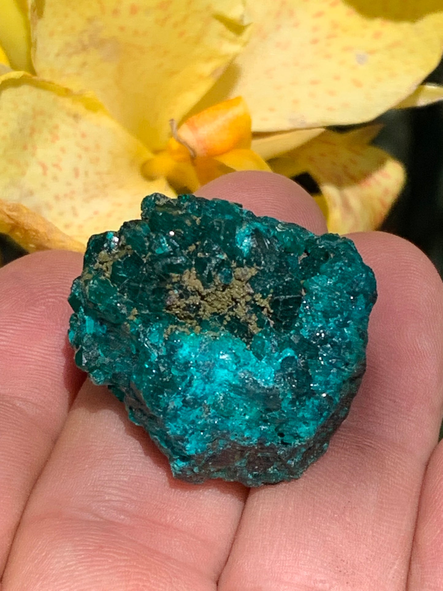 Dioptase, spécimen cristalisé de 32mm x 30 x 24 - 31,3 grammes ! Rare et puissante en minéralogie et lithothérapie !