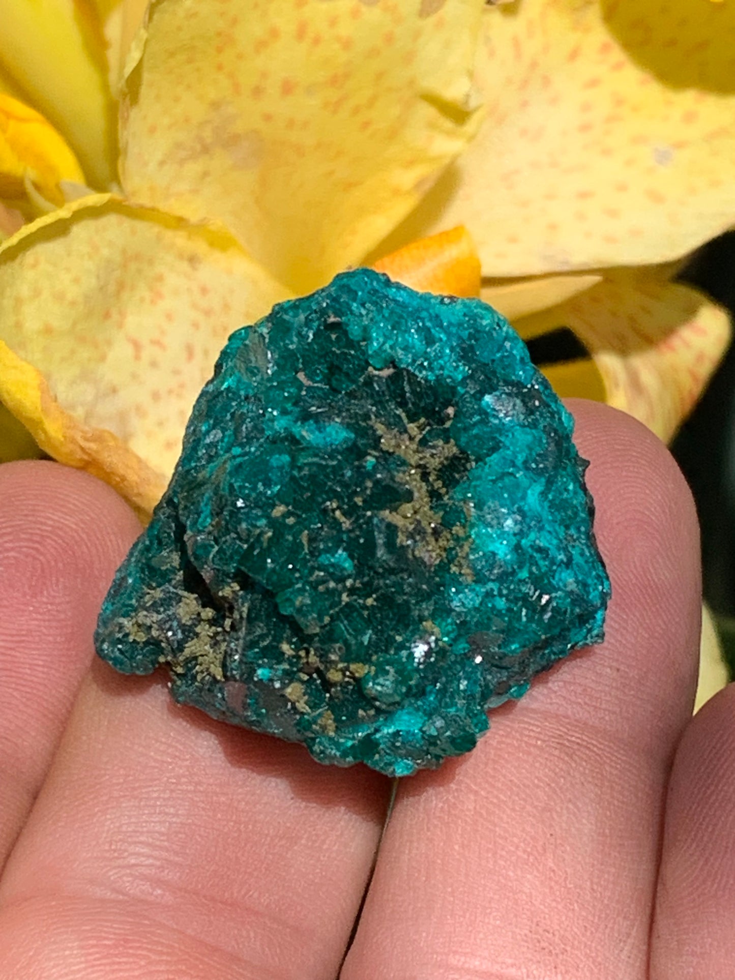 Dioptase, spécimen cristalisé de 32mm x 30 x 24 - 31,3 grammes ! Rare et puissante en minéralogie et lithothérapie !