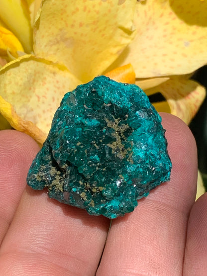 Dioptase, spécimen cristalisé de 32mm x 30 x 24 - 31,3 grammes ! Rare et puissante en minéralogie et lithothérapie !