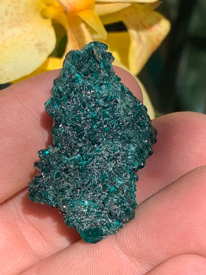 Dioptase, spécimen cristalisé de 40mm x 22 x 24 - 17,4 grammes ! Rare et puissante en minéralogie et lithothérapie !