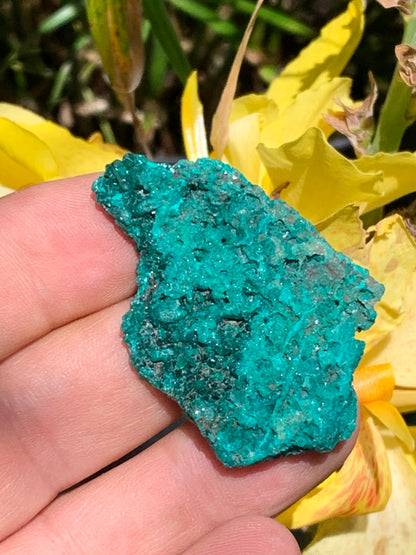 Dioptase, spécimen cristalisé de 50mm x 35 x 11 - 18,10 grammes ! Rare et puissante en minéralogie et lithothérapie !