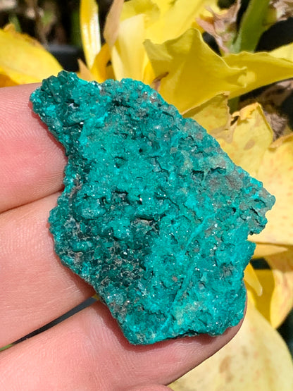 Dioptase, spécimen cristalisé de 50mm x 35 x 11 - 18,10 grammes ! Rare et puissante en minéralogie et lithothérapie !