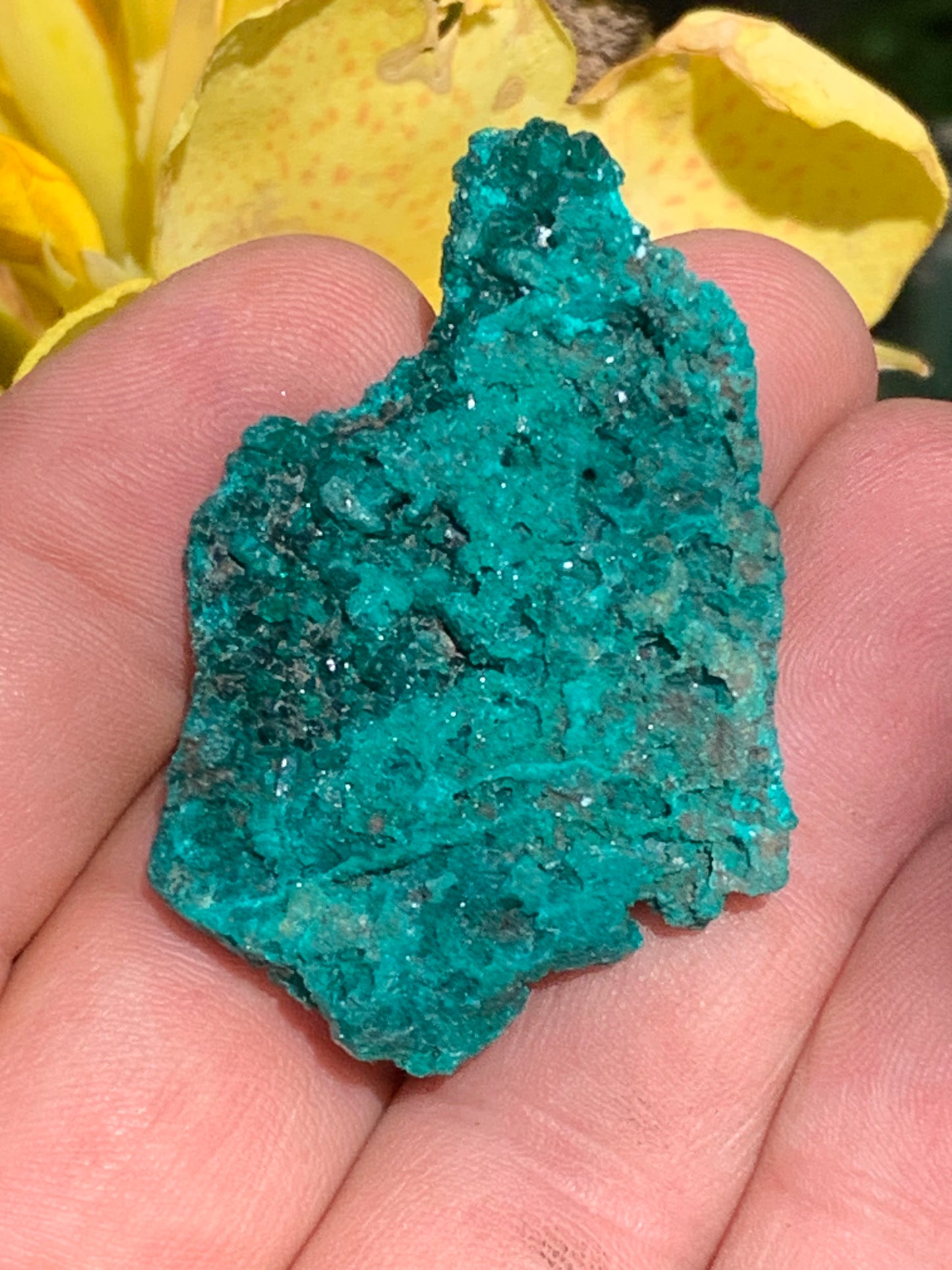 Dioptase, spécimen cristalisé de 50mm x 35 x 11 - 18,10 grammes ! Rare et puissante en minéralogie et lithothérapie !