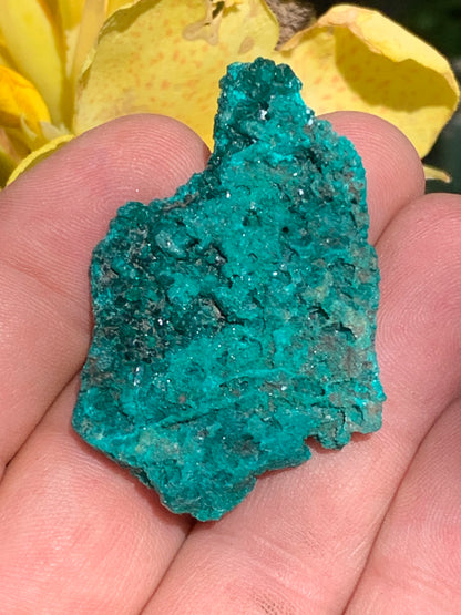 Dioptase, spécimen cristalisé de 50mm x 35 x 11 - 18,10 grammes ! Rare et puissante en minéralogie et lithothérapie !
