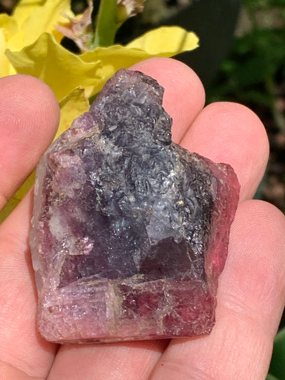 Tourmaline Rubellite, superbe spècimen naturel de 52mm x 35 x 23 - 52 grammes. Parfait en bijouterie, collection ,exposition...