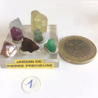 Concept 'Les jardins de Cristaux', 3 kits uniques au choix. Cristaux de valeurs, renommer pour leurs qualités de gemmes, couleurs, formes..! Petites merveilles de la nature !