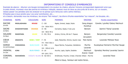 Compact disc/ clé usb ou téléchargement, Album de composition 'Holistic music', volume 1. Expériences sonores sur les 7 chakras à l'aide de plusieurs instruments de musiques Indienne, par Michel Spiel, créateur de Gem & Zen.