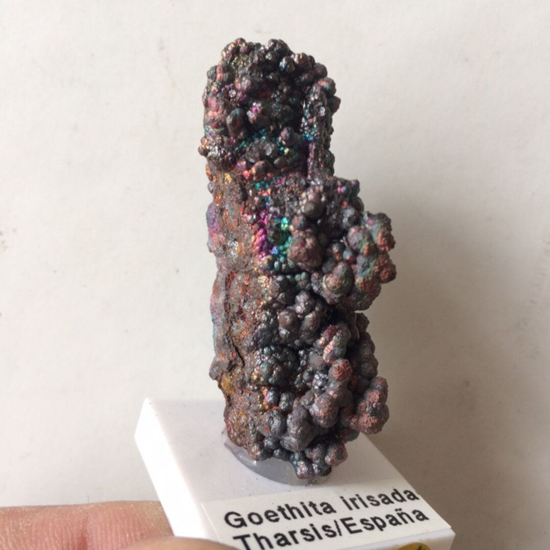 Goethite - Spécimen brut et naturel de 50mm x 20 x 20 - 20 grammes. Magnifique pièce de minéralogie !