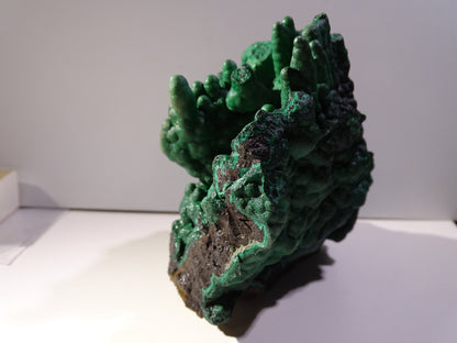 Malachite, superbe spécimen de taille XL de 723 grammes - 105mm x 100 x 75. Parfait pour une collection, exposition ou la bijouterie !