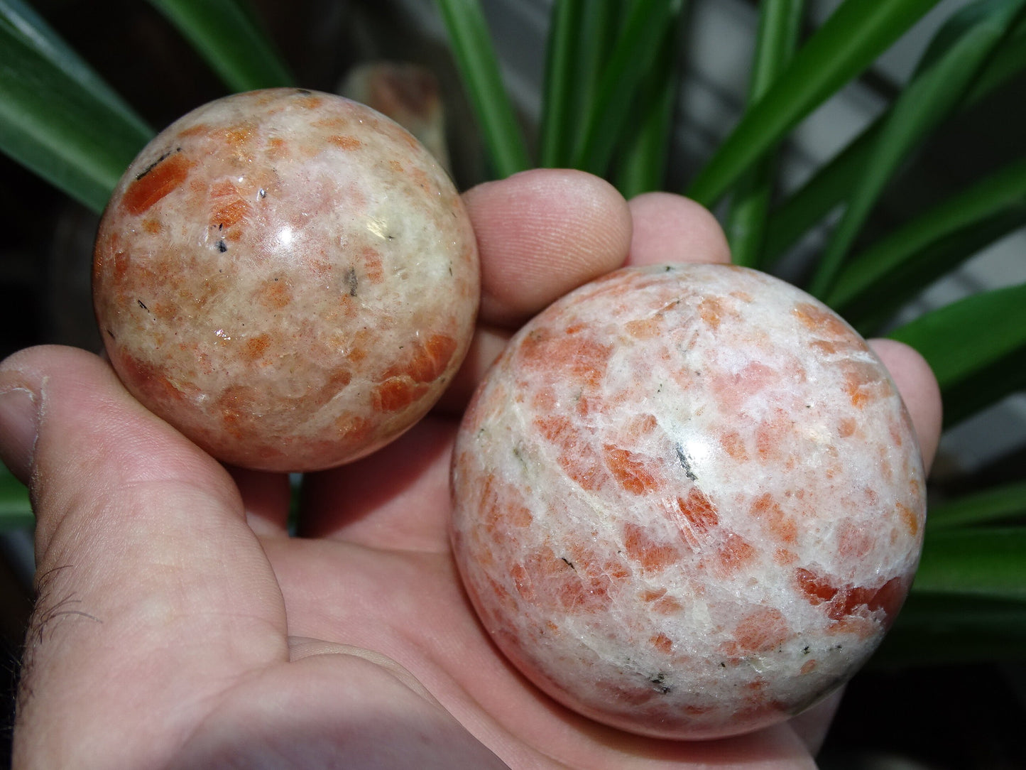 Sphère en Pierre du soleil, 2 pièces unique au choix de 43 et 56 millimètres - 113 et 240 grammes. une pierre naturellement belle ! Parfait pour la lithothérapie, collection, exposition...!