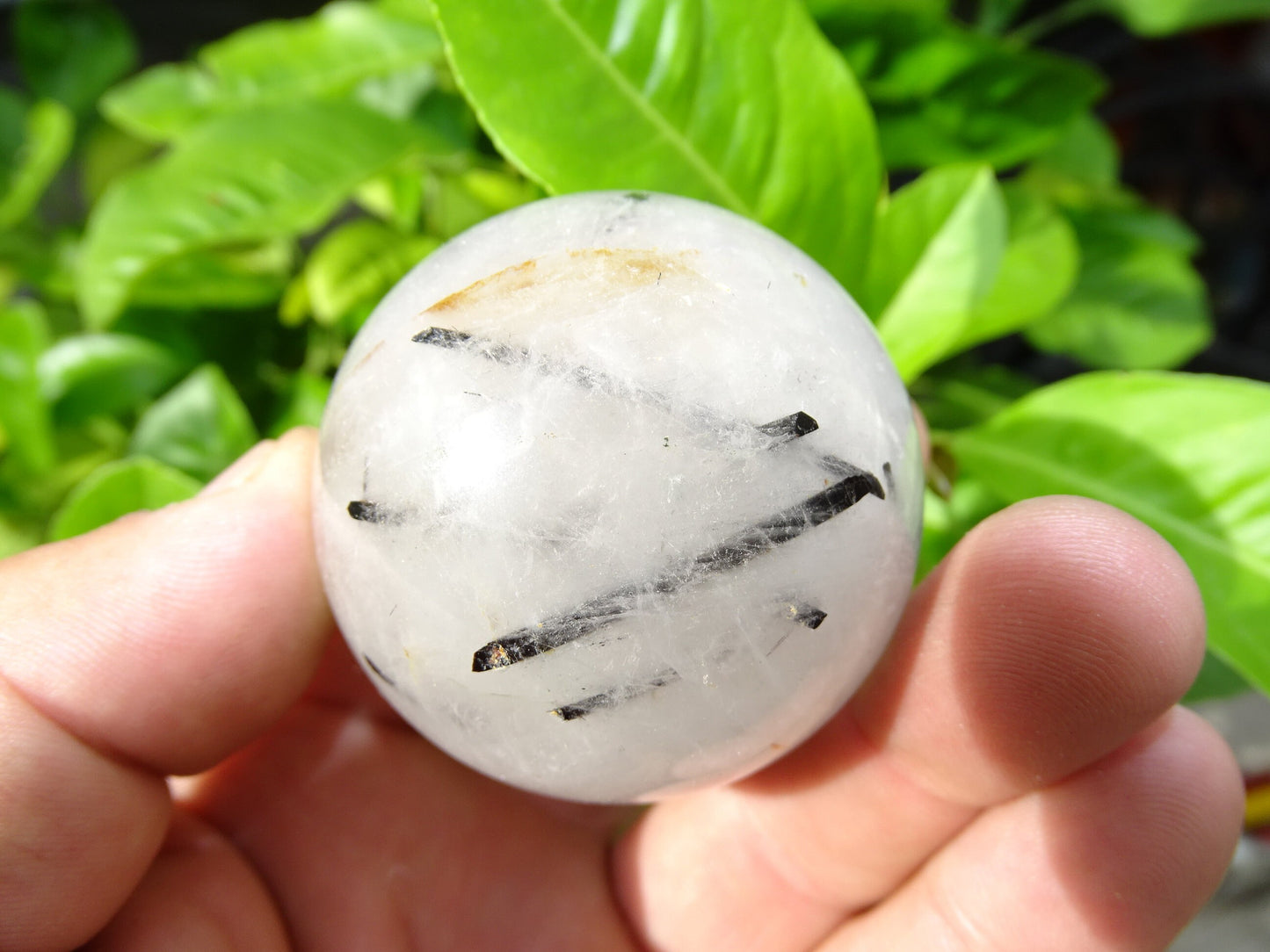 Sphères de Cristal/ Quartz avec inclusions de tourmaline noire, de 46 et 52 millimètres - 136 et 196 grammes. une pierre surprenante !
