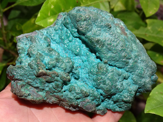 Chrysocolle, superbe spécimen brut de 110 x 90 x 80 - 245 grammes !