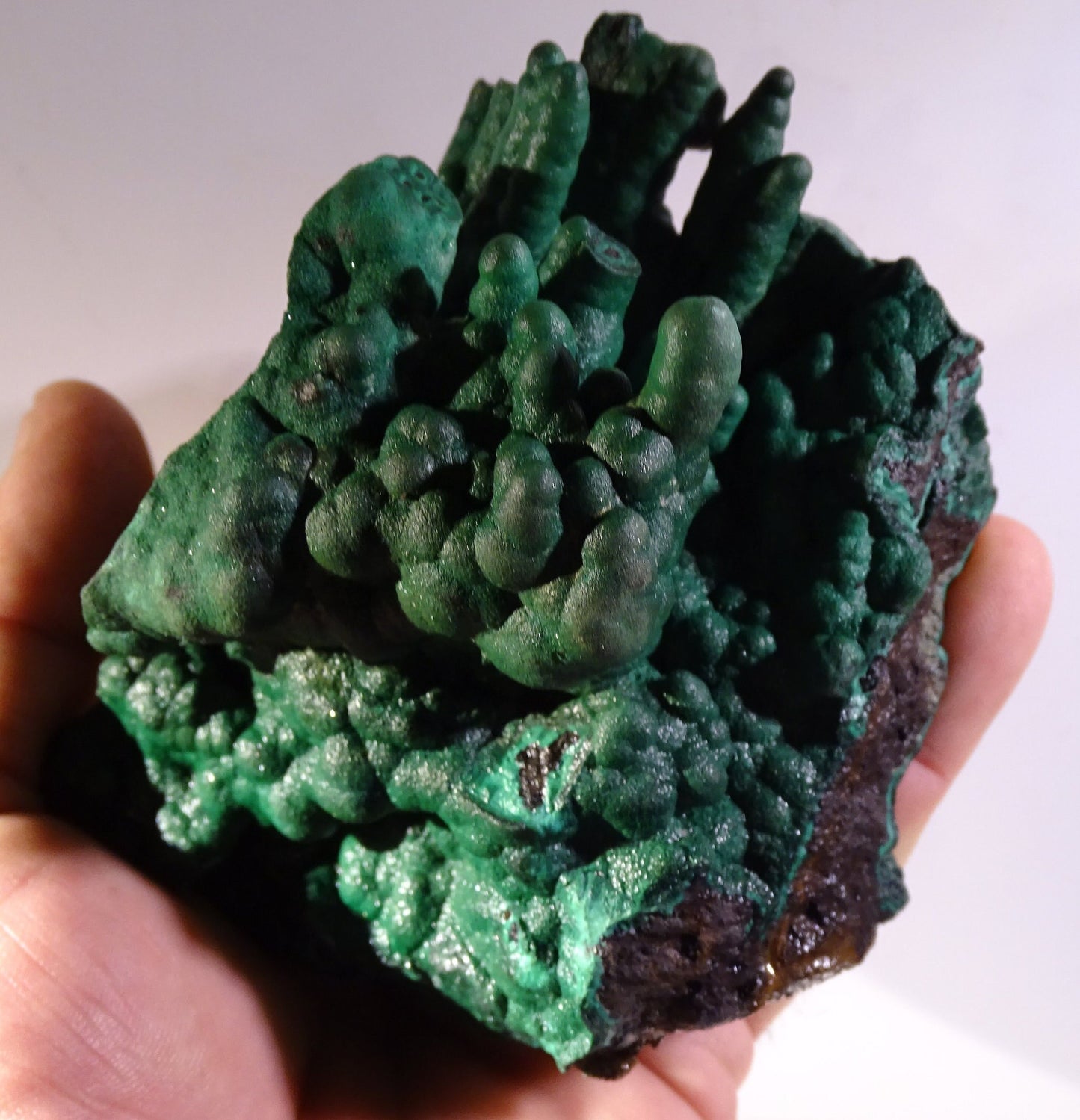Malachite, superbe spécimen de taille XL de 723 grammes - 105mm x 100 x 75. Parfait pour une collection, exposition ou la bijouterie !
