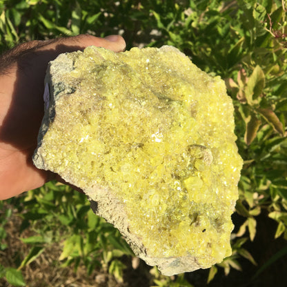 Soufre cristallisé, druse naturelle de 200 x 150 x 70 mm - 1 295 grammes environ. Une merveille de la nature !