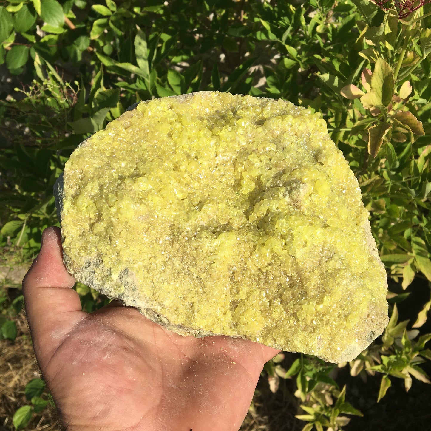 Soufre cristallisé, druse naturelle de 200 x 150 x 70 mm - 1 295 grammes environ. Une merveille de la nature !