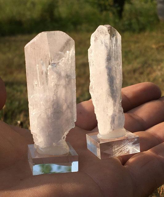 Damburite, 2 belles pièces sur socle de 50 x 25 x 10mm - 20 grammes. Parfait en collection, bijouterie, exposition...
