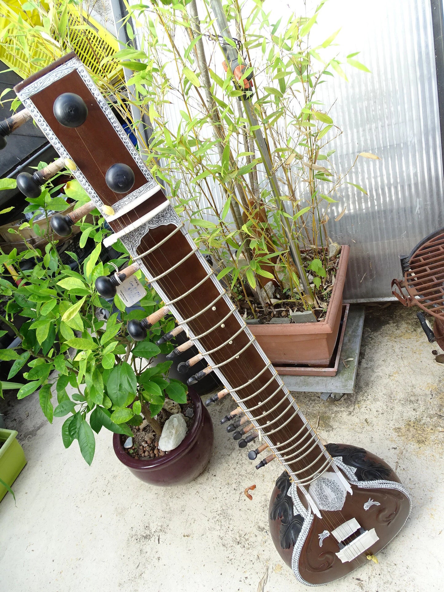 SITAR INDIEN avec Tumba, modèle neuf, prêt à jouer, livrer avec housse. 11 cordes sympathique + 7 de jeux, métaphysique !!!