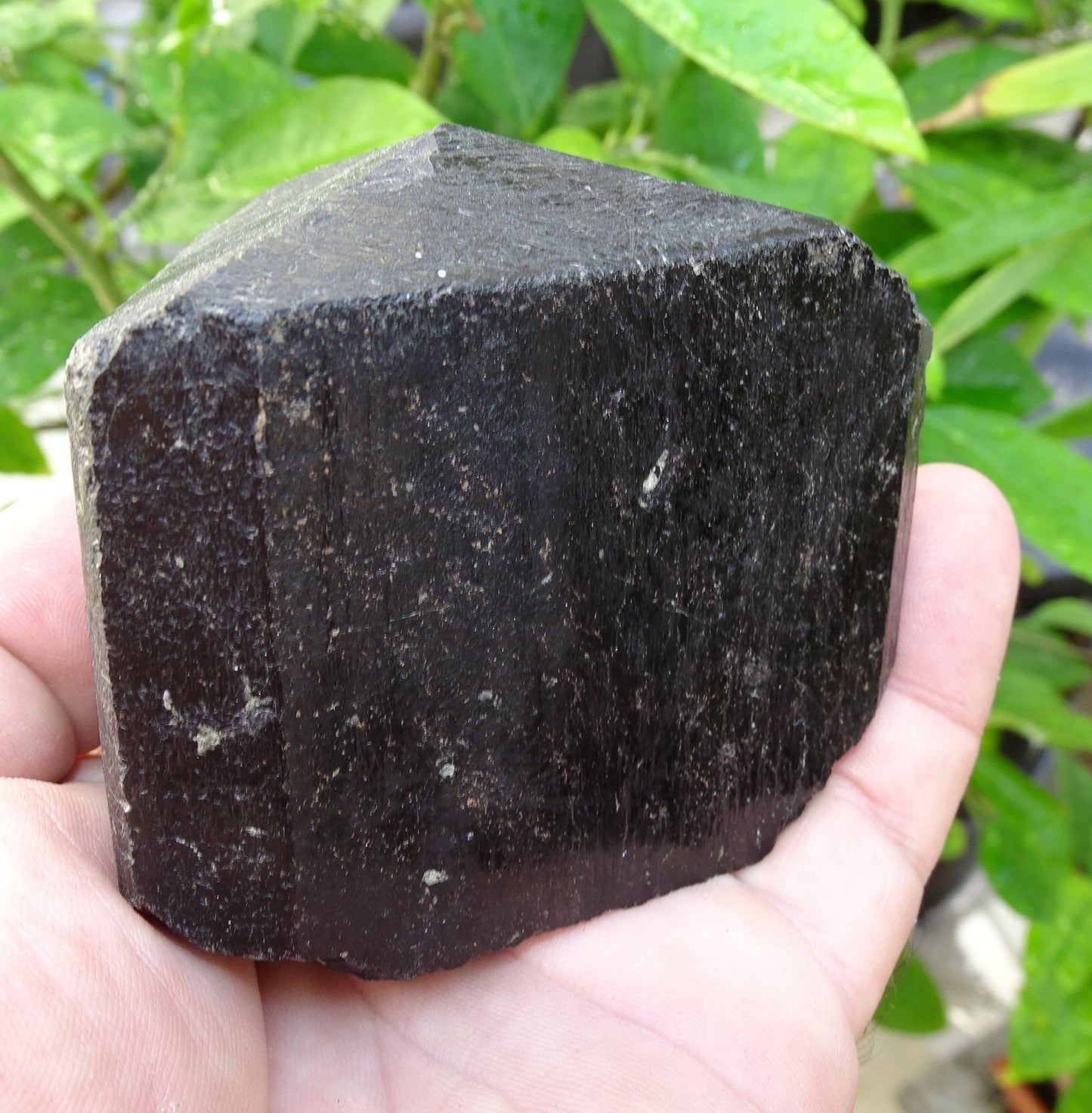 Black tourmaline, natural 3-sided specimen measuring 80 x 65 x 70 mm - 555 grams. A very beautiful and unique piece! 