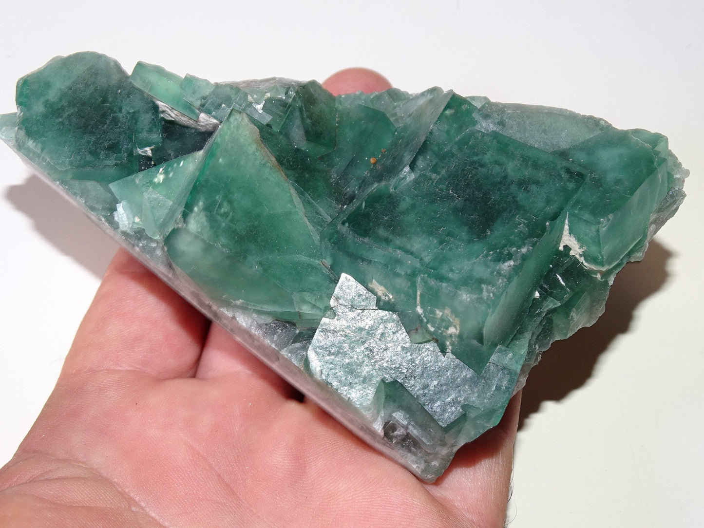 Fluorite verte - Superbe spécimen brut de 128mm x 80 x 43 - 130 grammes. Belle qualité, magnifique pièce !