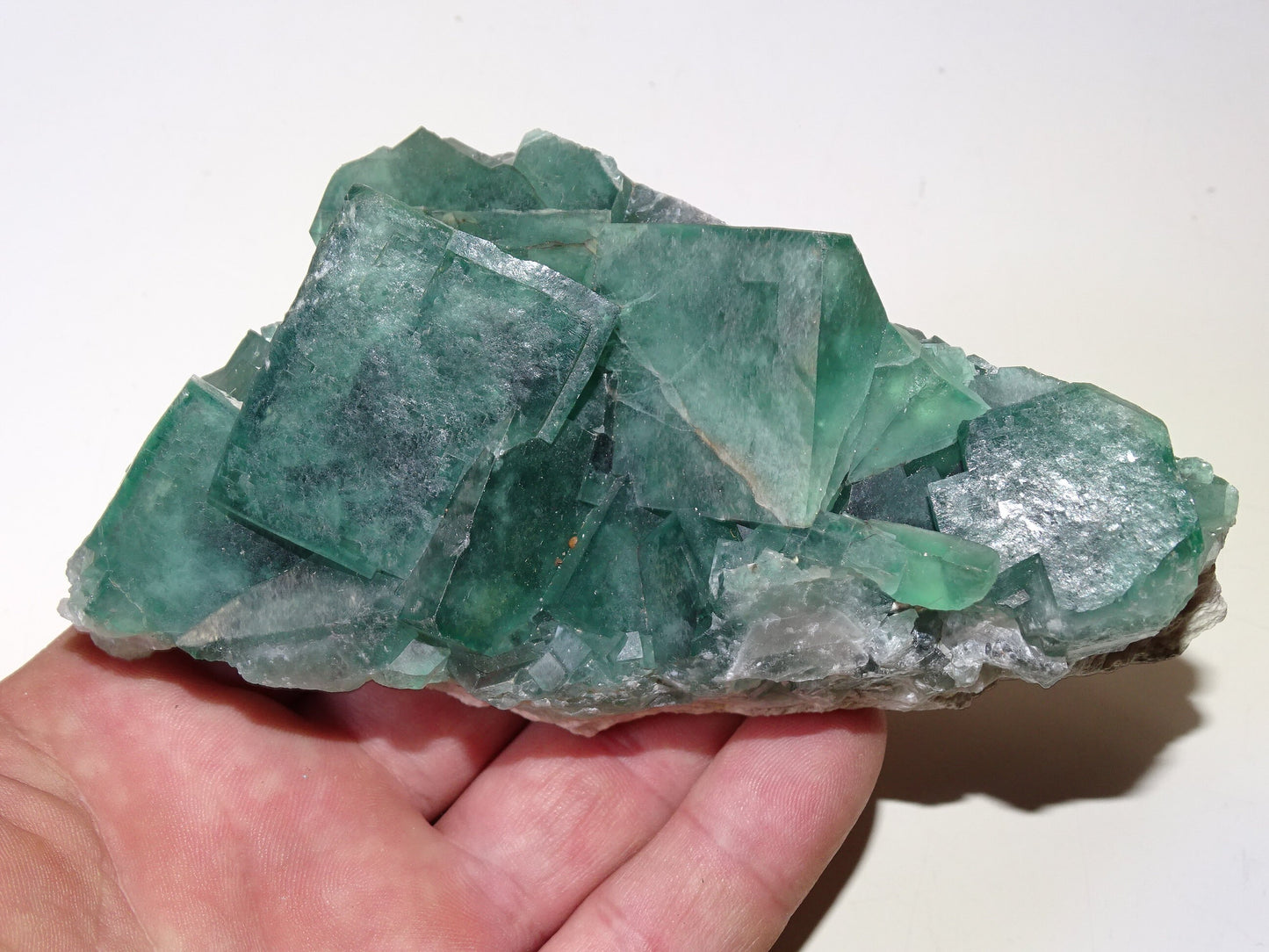 Fluorite verte - Superbe spécimen brut de 128mm x 80 x 43 - 130 grammes. Belle qualité, magnifique pièce !