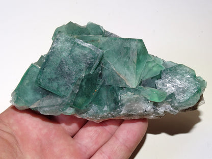 Fluorite verte - Superbe spécimen brut de 128mm x 80 x 43 - 130 grammes. Belle qualité, magnifique pièce !