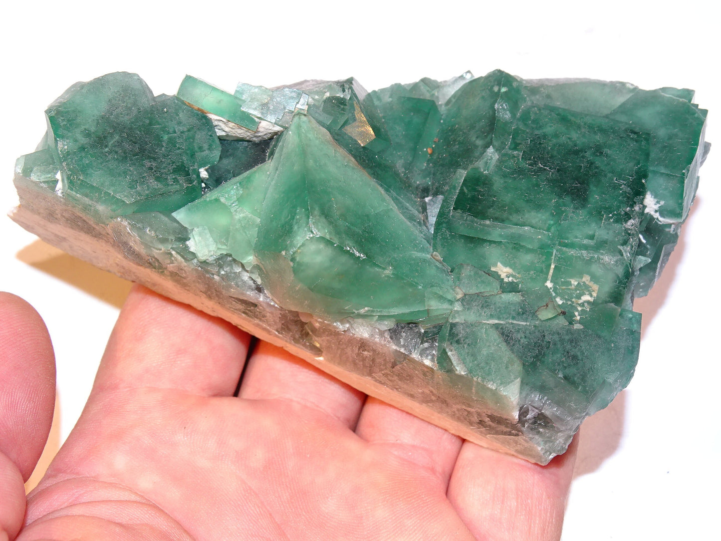 Fluorite verte - Superbe spécimen brut de 128mm x 80 x 43 - 130 grammes. Belle qualité, magnifique pièce !