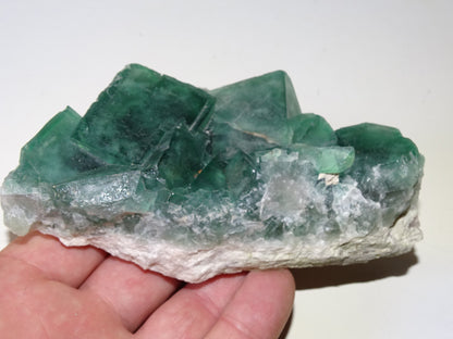 Fluorite verte - Superbe spécimen brut de 128mm x 80 x 43 - 130 grammes. Belle qualité, magnifique pièce !