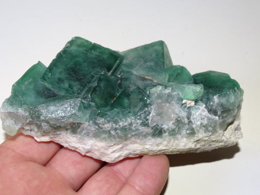 Fluorite verte - Superbe spécimen brut de 128mm x 80 x 43 - 130 grammes. Belle qualité, magnifique pièce !