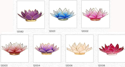 Selection of 'Lotus' candle holders made of capiz shell, 13.5 centimeters x 5.5 centimeters high. Magnificent colors, incredible effects, perfect!