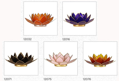Selection of 'Lotus' candle holders made of capiz shell, 13.5 centimeters x 5.5 centimeters high. Magnificent colors, incredible effects, perfect!