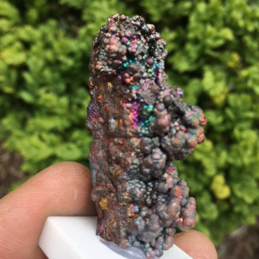 Goethite - Spécimen brut et naturel de 50mm x 20 x 20 - 20 grammes. Magnifique pièce de minéralogie !