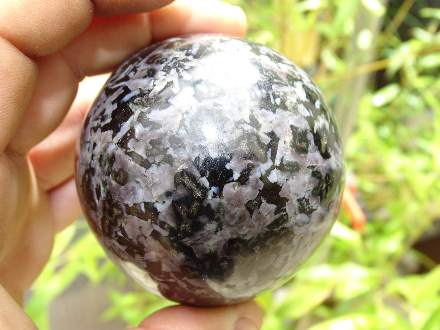 Sélection de sphères en Merlinite/ Gabbro, de 5,7 à 7,8 centimètres. Parfait pour la lithothérapie, collection, exposition...!