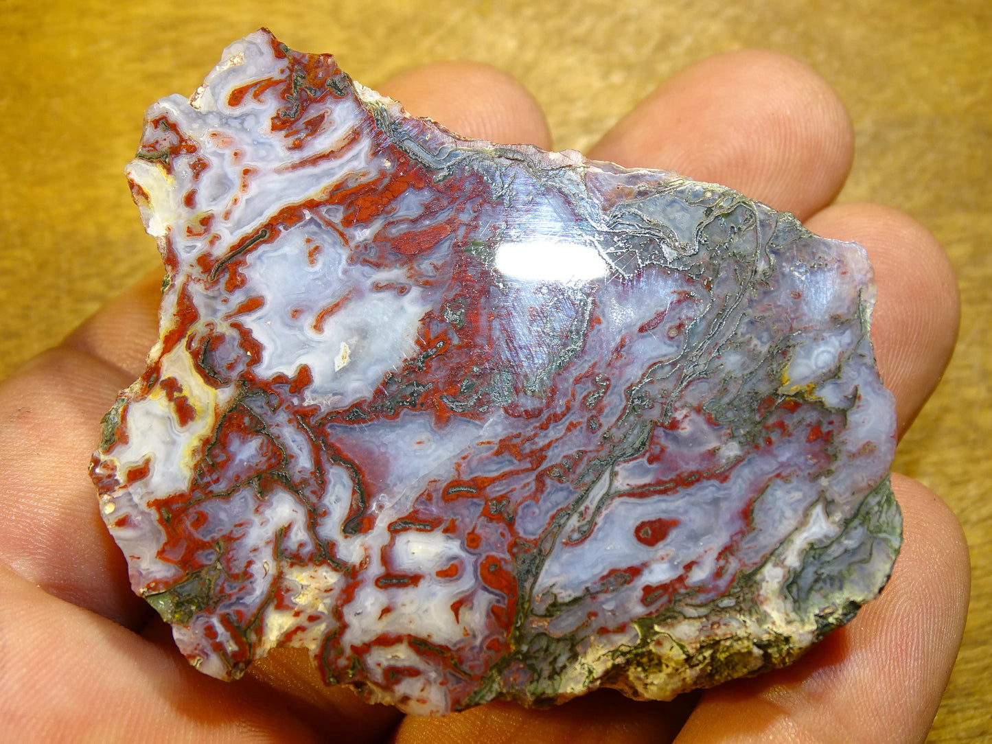 Agate mousse, magnifique spécimen de 64 x 47 x 22 mm - 61 grammes environ. Des dessins et couleurs rares et uniques !