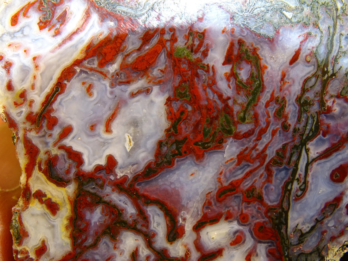 Agate mousse, magnifique spécimen de 64 x 47 x 22 mm - 61 grammes environ. Des dessins et couleurs rares et uniques !