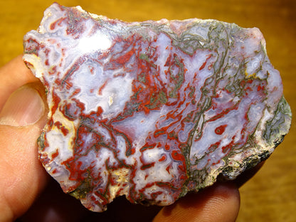 Agate mousse, magnifique spécimen de 64 x 47 x 22 mm - 61 grammes environ. Des dessins et couleurs rares et uniques !