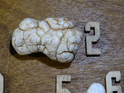Howlite blanche - Spécimens bruts au choix de 30 à 20 x 15mm - 10 à 15 grammes !
