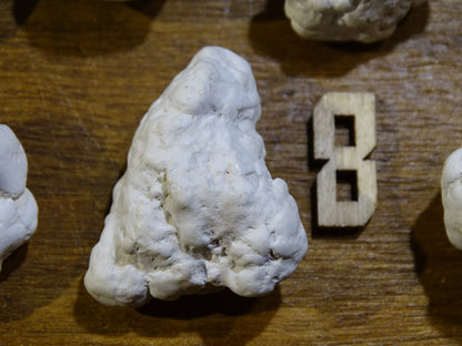 Howlite blanche - Spécimens bruts au choix de 30 à 20 x 15mm - 10 à 15 grammes !