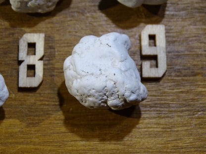 Howlite blanche - Spécimens bruts au choix de 30 à 20 x 15mm - 10 à 15 grammes !