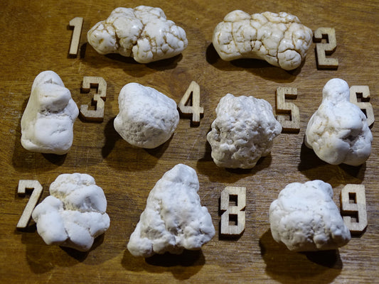 Howlite blanche - Spécimens bruts au choix de 30 à 20 x 15mm - 10 à 15 grammes !