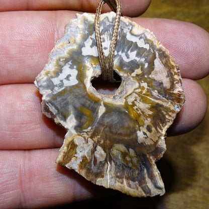 Bois fossilisé/ pétrifié, pendentif de 58x42x8 millimètres, vendu avec cordon coulissant (réglable) marron de 40 à 70 centimètres !