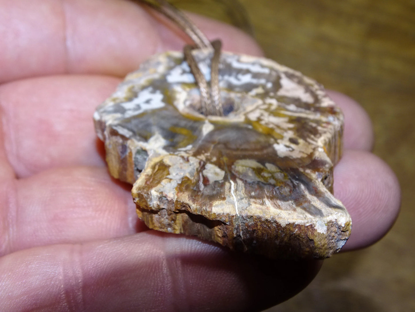 Bois fossilisé/ pétrifié, pendentif de 58x42x8 millimètres, vendu avec cordon coulissant (réglable) marron de 40 à 70 centimètres !