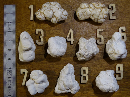 Howlite blanche - Spécimens bruts au choix de 30 à 20 x 15mm - 10 à 15 grammes !