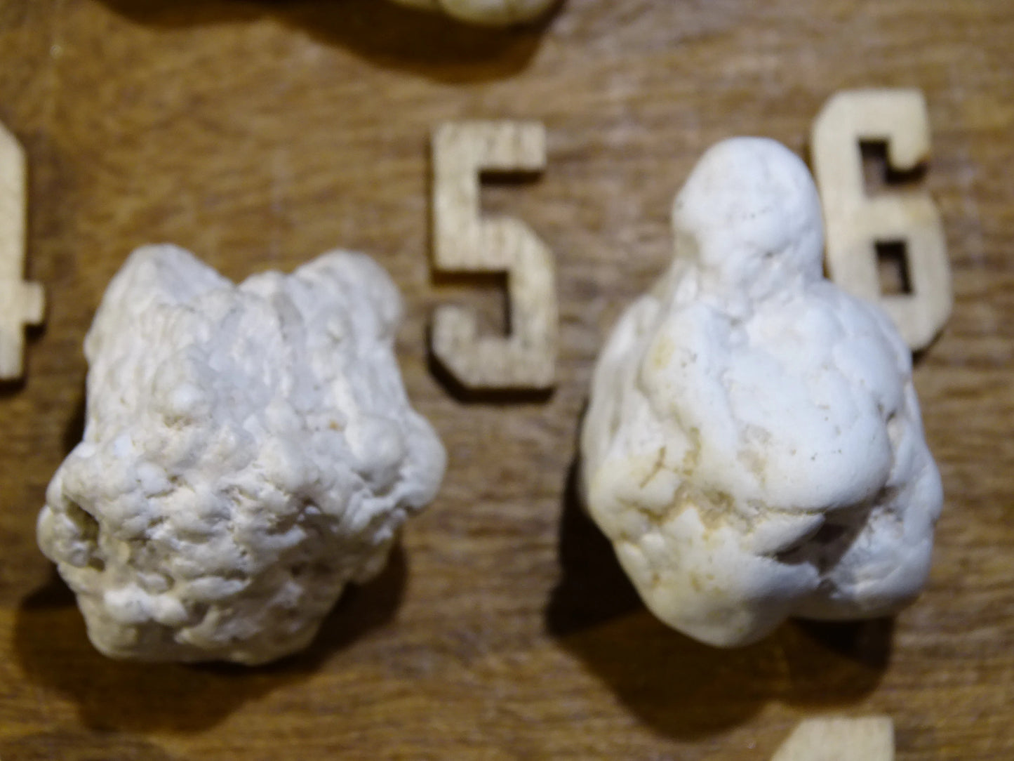 Howlite blanche - Spécimens bruts au choix de 30 à 20 x 15mm - 10 à 15 grammes !