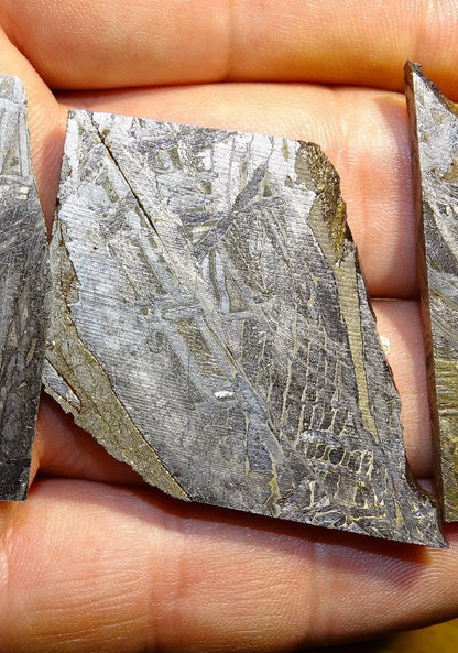 Météorite 'Muonionalusta', de 20 grammes, de type IVA, qui s'est écrasée dans le nord de la Scandinavie, à l'ouest de la frontière entre la Suède et la Finlande, environ 1 million d'années ...!