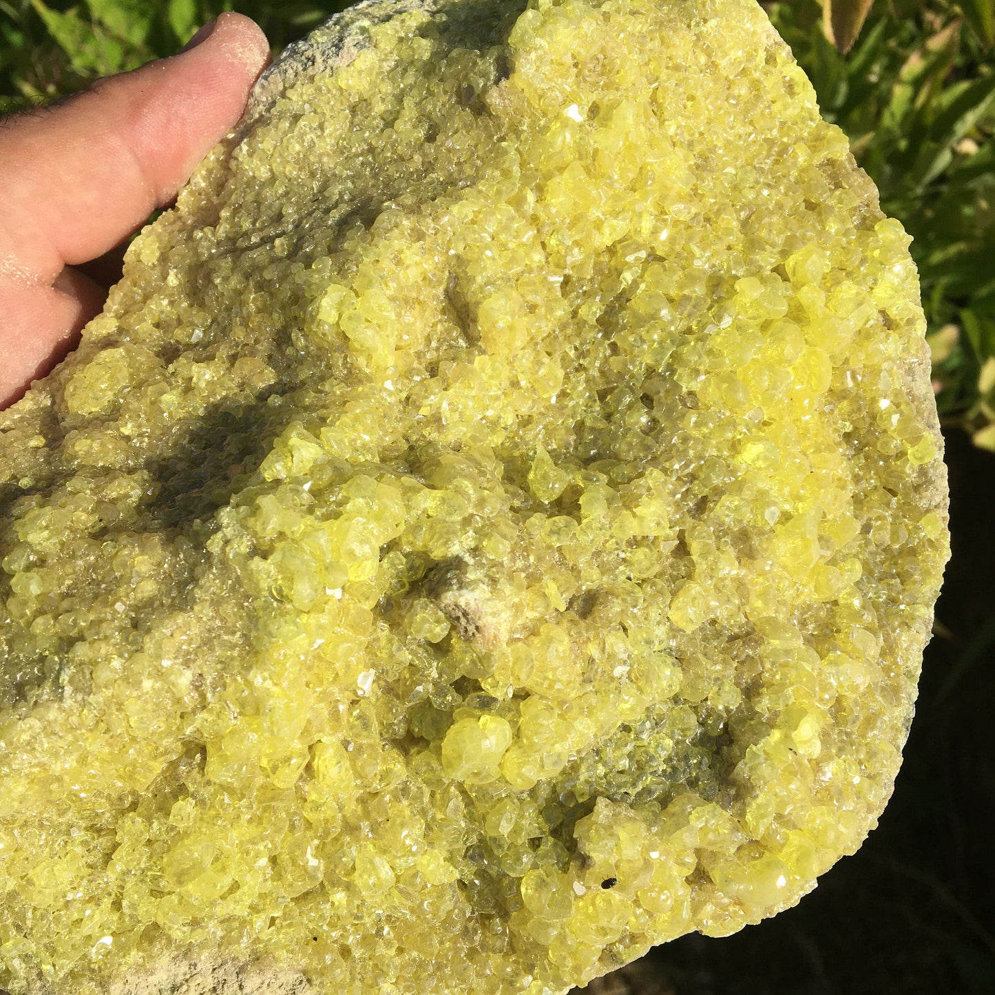 Soufre cristallisé, druse naturelle de 200 x 150 x 70 mm - 1 295 grammes environ. Une merveille de la nature !