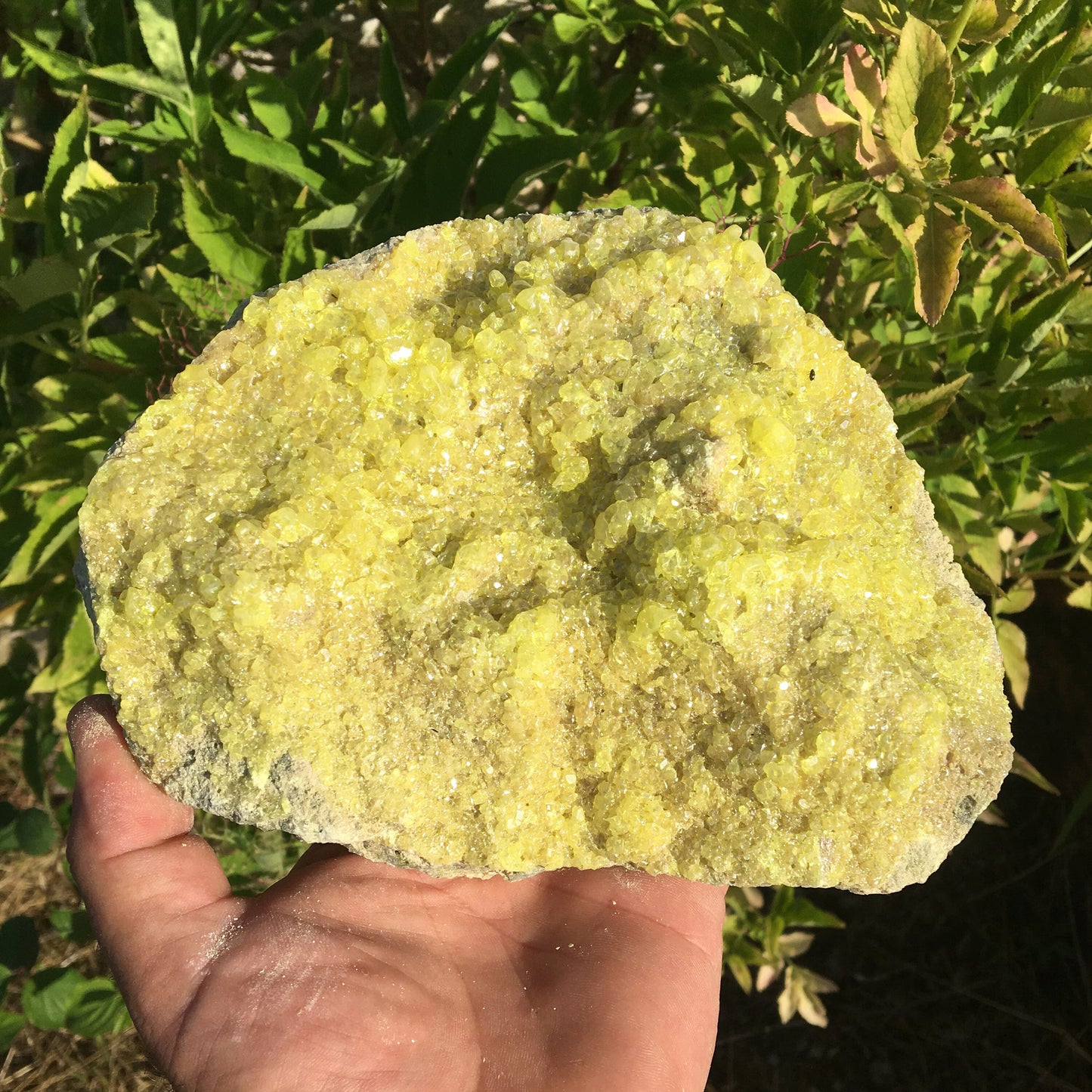 Soufre cristallisé, druse naturelle de 200 x 150 x 70 mm - 1 295 grammes environ. Une merveille de la nature !