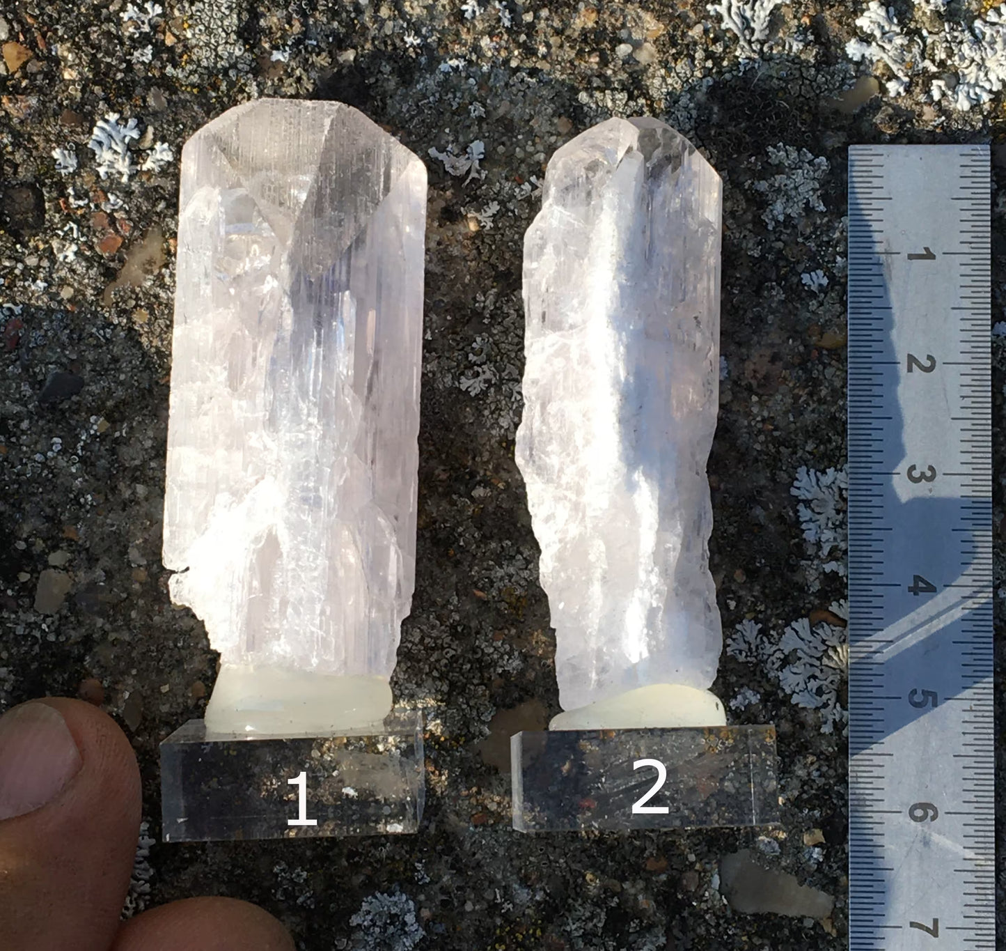 Damburite, 2 belles pièces sur socle de 50 x 25 x 10mm - 20 grammes. Parfait en collection, bijouterie, exposition...
