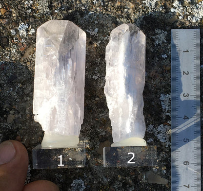Damburite, 2 belles pièces sur socle de 50 x 25 x 10mm - 20 grammes. Parfait en collection, bijouterie, exposition...