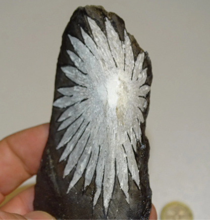 Pierre de Chrysanthème (inclusions en forme de fleurs), de 105mm x 60x52 - 63,8 grammes. Parfait pour décoration, collection ou exposition...